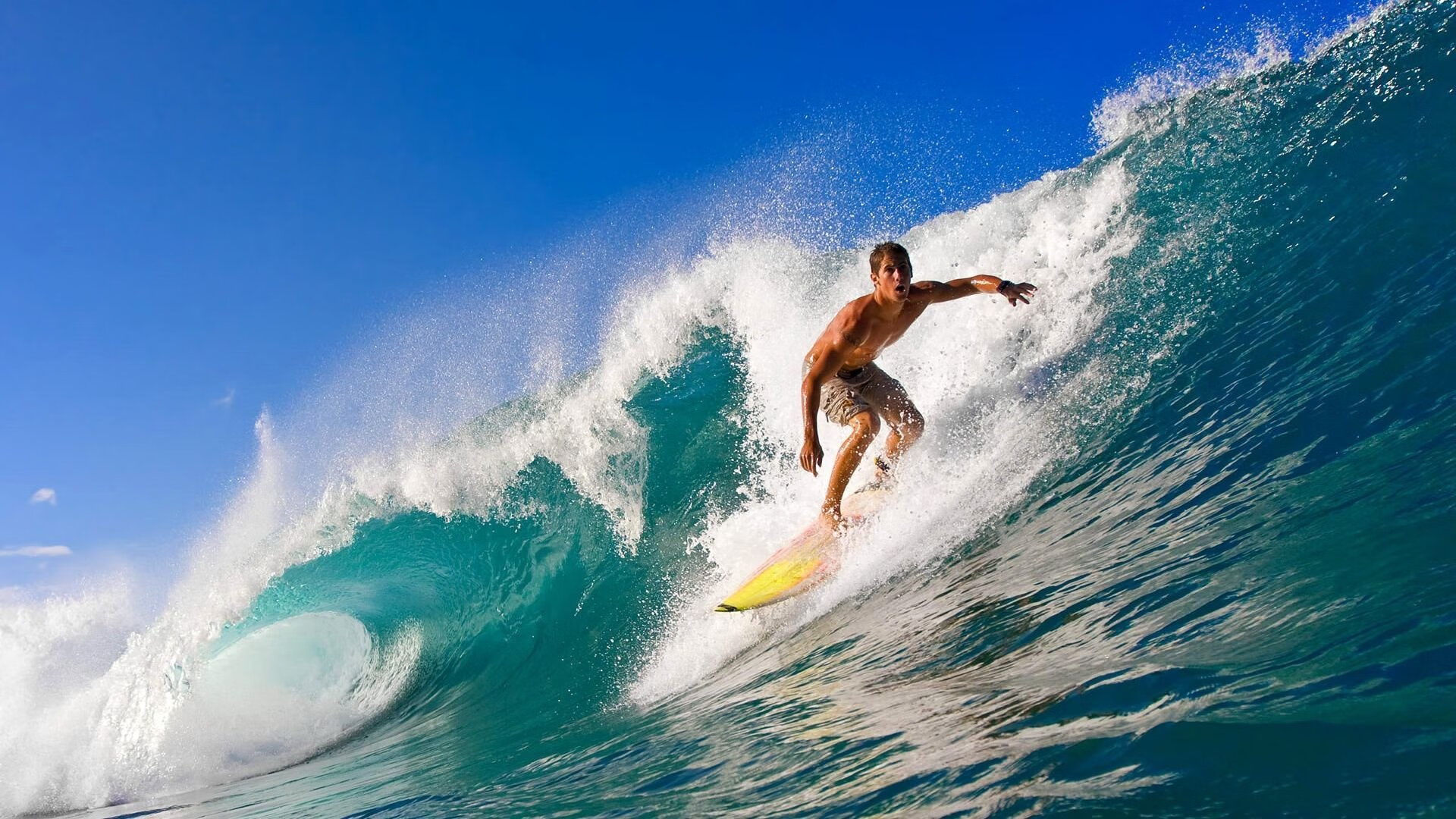 LCS战队出征世界赛名单公布，lcs赛区战队是哪个国家的