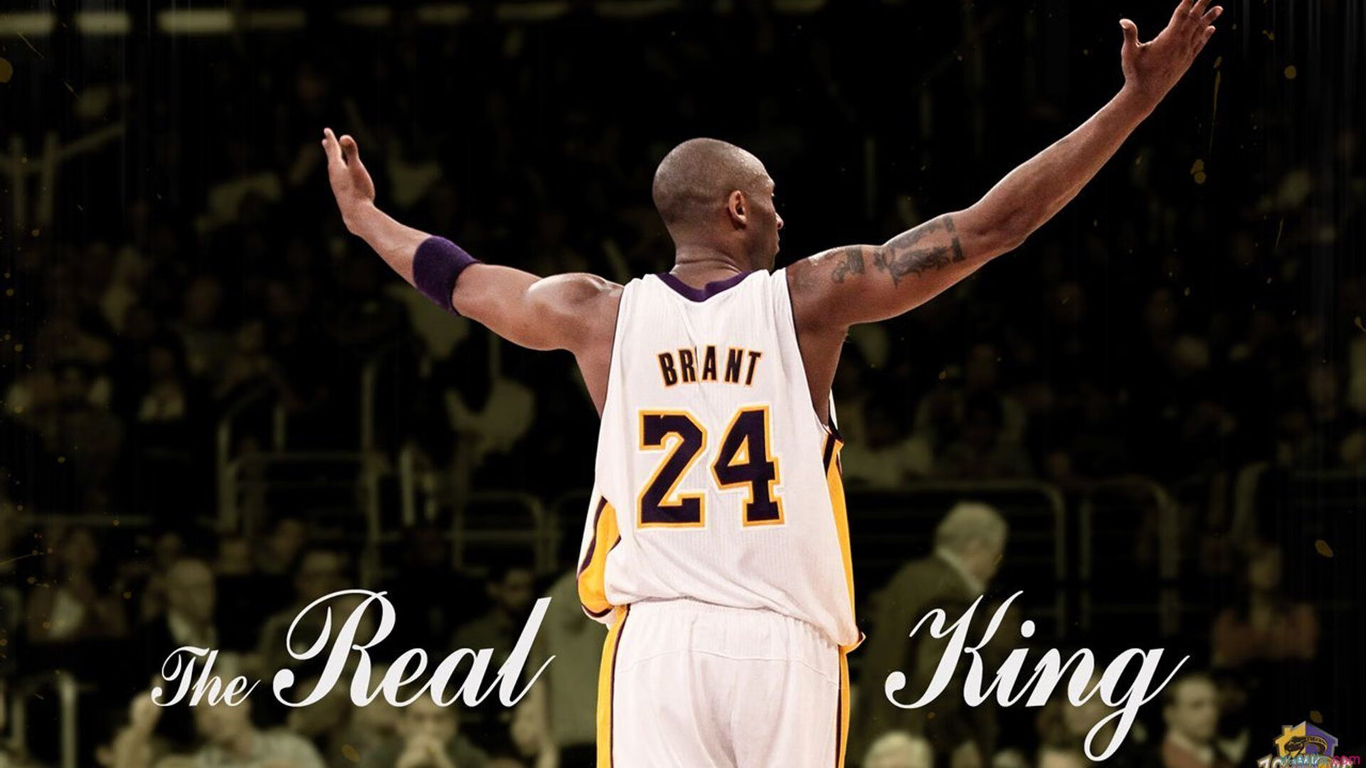 NBA全明星名单出炉，库里无缘引发热议，nba全明星成员介绍